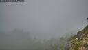 ./images/calvert/foggy-cove/20260818/foggy-cove20260818_062501M.jpg