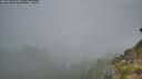 ./images/calvert/foggy-cove/20260818/foggy-cove20260818_063001M.jpg
