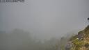 ./images/calvert/foggy-cove/20260818/foggy-cove20260818_063501M.jpg