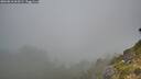 ./images/calvert/foggy-cove/20260818/foggy-cove20260818_064501M.jpg