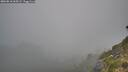 ./images/calvert/foggy-cove/20260818/foggy-cove20260818_065501M.jpg