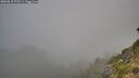 ./images/calvert/foggy-cove/20260818/foggy-cove20260818_070501M.jpg