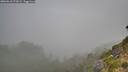 ./images/calvert/foggy-cove/20260818/foggy-cove20260818_071001M.jpg