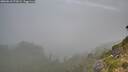 ./images/calvert/foggy-cove/20260818/foggy-cove20260818_072002M.jpg