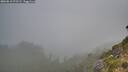 ./images/calvert/foggy-cove/20260818/foggy-cove20260818_072501M.jpg