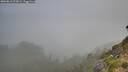 ./images/calvert/foggy-cove/20260818/foggy-cove20260818_073002M.jpg