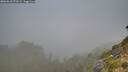 ./images/calvert/foggy-cove/20260818/foggy-cove20260818_073501M.jpg
