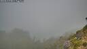 ./images/calvert/foggy-cove/20260818/foggy-cove20260818_074001M.jpg