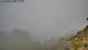 ./images/calvert/foggy-cove/20260818/foggy-cove20260818_075001M.jpg