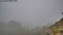 ./images/calvert/foggy-cove/20260818/foggy-cove20260818_075501M.jpg