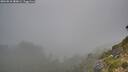 ./images/calvert/foggy-cove/20260818/foggy-cove20260818_080001M.jpg