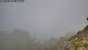 ./images/calvert/foggy-cove/20260818/foggy-cove20260818_080501M.jpg