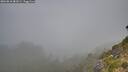 ./images/calvert/foggy-cove/20260818/foggy-cove20260818_081001M.jpg