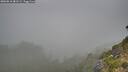 ./images/calvert/foggy-cove/20260818/foggy-cove20260818_081501M.jpg