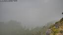 ./images/calvert/foggy-cove/20260818/foggy-cove20260818_082001M.jpg