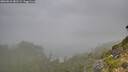 ./images/calvert/foggy-cove/20260818/foggy-cove20260818_082502M.jpg