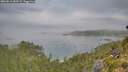 ./images/calvert/foggy-cove/20260818/foggy-cove20260818_083001M.jpg