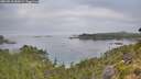 ./images/calvert/foggy-cove/20260818/foggy-cove20260818_085001M.jpg