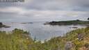 ./images/calvert/foggy-cove/20260818/foggy-cove20260818_090501M.jpg