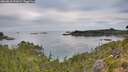 ./images/calvert/foggy-cove/20260818/foggy-cove20260818_091001M.jpg