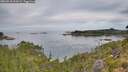 ./images/calvert/foggy-cove/20260818/foggy-cove20260818_092002M.jpg