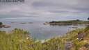 ./images/calvert/foggy-cove/20260818/foggy-cove20260818_094001M.jpg