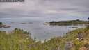 ./images/calvert/foggy-cove/20260818/foggy-cove20260818_094501M.jpg