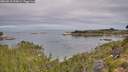 ./images/calvert/foggy-cove/20260818/foggy-cove20260818_095001M.jpg