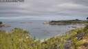 ./images/calvert/foggy-cove/20260818/foggy-cove20260818_095501M.jpg