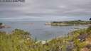 ./images/calvert/foggy-cove/20260818/foggy-cove20260818_100001M.jpg