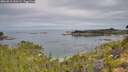 ./images/calvert/foggy-cove/20260818/foggy-cove20260818_100501M.jpg