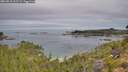 ./images/calvert/foggy-cove/20260818/foggy-cove20260818_102501M.jpg