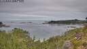 ./images/calvert/foggy-cove/20260818/foggy-cove20260818_103001M.jpg