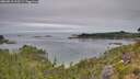 ./images/calvert/foggy-cove/20260818/foggy-cove20260818_103501M.jpg