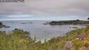 ./images/calvert/foggy-cove/20260818/foggy-cove20260818_121001M.jpg