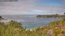 ./images/calvert/foggy-cove/20260818/foggy-cove20260818_131001M.jpg