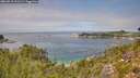 ./images/calvert/foggy-cove/20260818/foggy-cove20260818_131501M.jpg