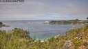 ./images/calvert/foggy-cove/20260818/foggy-cove20260818_132002M.jpg