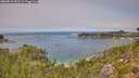 ./images/calvert/foggy-cove/20260818/foggy-cove20260818_133501M.jpg
