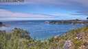 ./images/calvert/foggy-cove/20260818/foggy-cove20260818_143001M.jpg