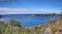 ./images/calvert/foggy-cove/20260818/foggy-cove20260818_144002M.jpg