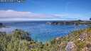 ./images/calvert/foggy-cove/20260818/foggy-cove20260818_144502M.jpg