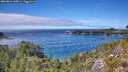 ./images/calvert/foggy-cove/20260818/foggy-cove20260818_145001M.jpg