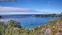 ./images/calvert/foggy-cove/20260818/foggy-cove20260818_145501M.jpg
