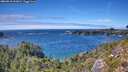 ./images/calvert/foggy-cove/20260818/foggy-cove20260818_151001M.jpg