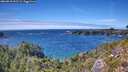 ./images/calvert/foggy-cove/20260818/foggy-cove20260818_151501M.jpg