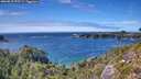 ./images/calvert/foggy-cove/20260818/foggy-cove20260818_152501M.jpg