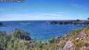 ./images/calvert/foggy-cove/20260818/foggy-cove20260818_160501M.jpg