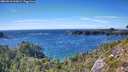 ./images/calvert/foggy-cove/20260818/foggy-cove20260818_163001M.jpg