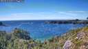 ./images/calvert/foggy-cove/20260818/foggy-cove20260818_163501M.jpg